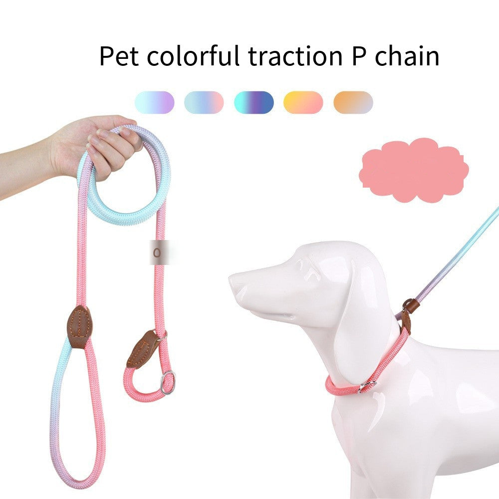 COLORLEASH – Kleurrijke hondenriem voor stijlvolle wandelingen