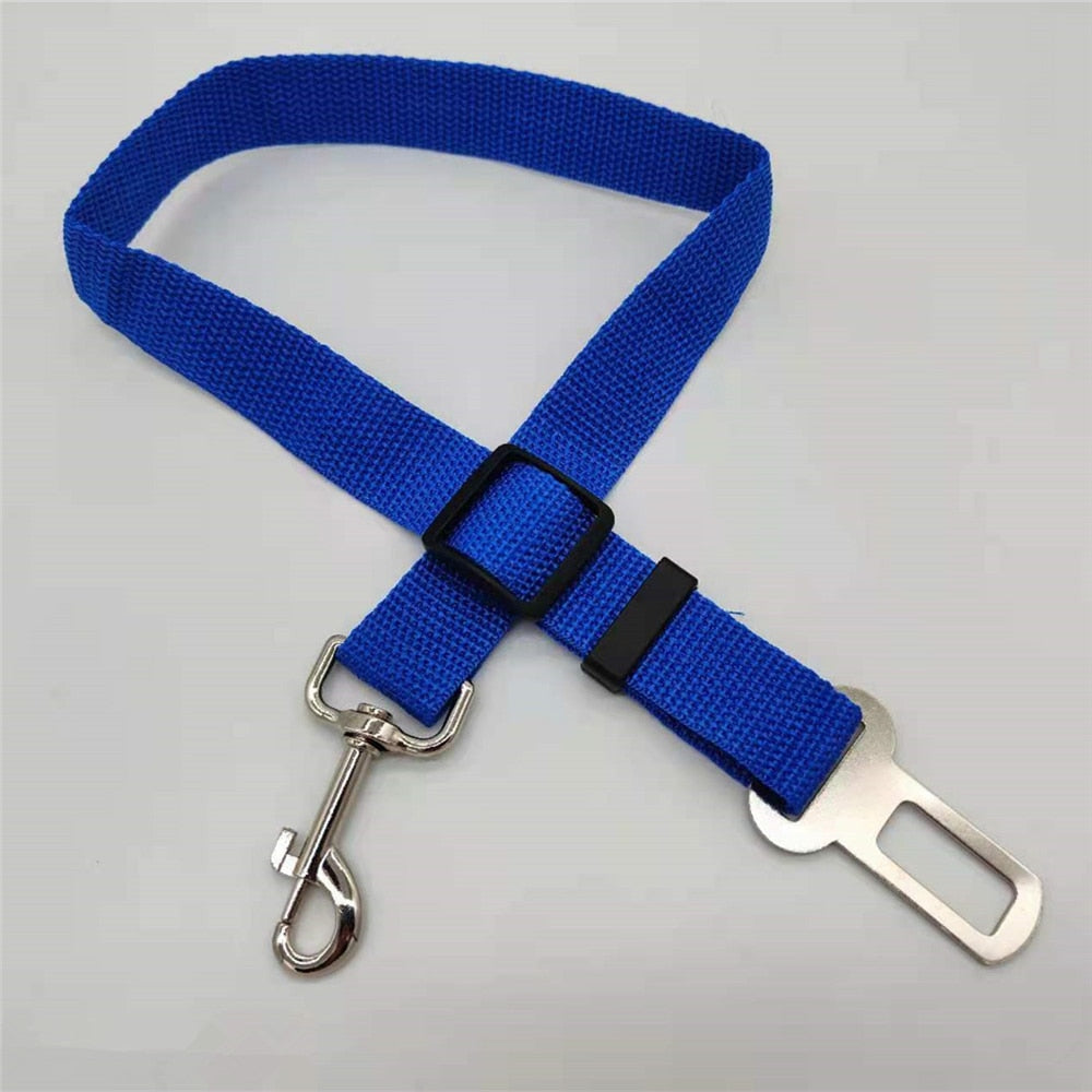 Variant image for Blau