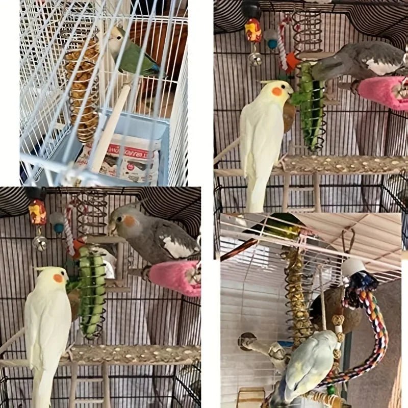 SPIRAFEED – Robuster Papageienfutterspender aus Edelstahl 8