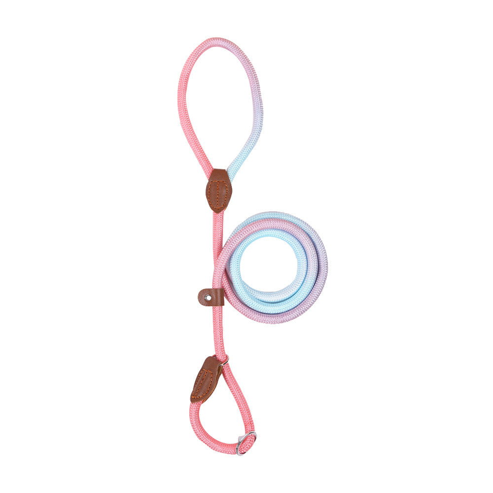 COLORLEASH – Kleurrijke hondenriem voor stijlvolle wandelingen