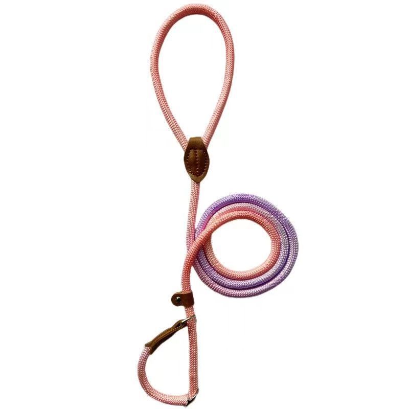 COLORLEASH – Kleurrijke hondenriem voor stijlvolle wandelingen