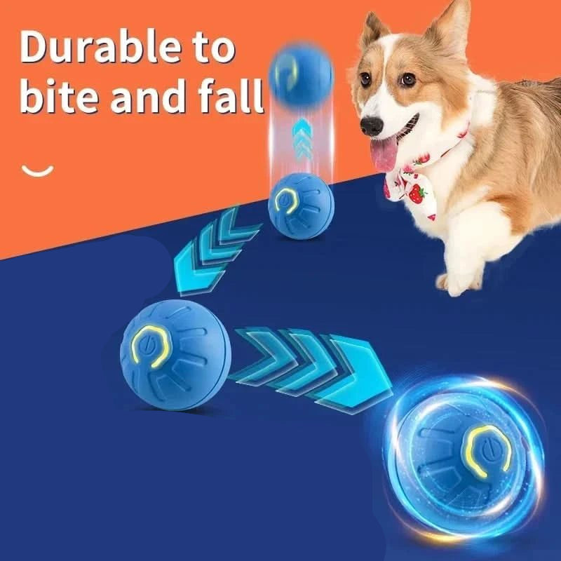 PlayPet Interaktiver Hundeball – Wiederaufladbarer Bouncing Ball