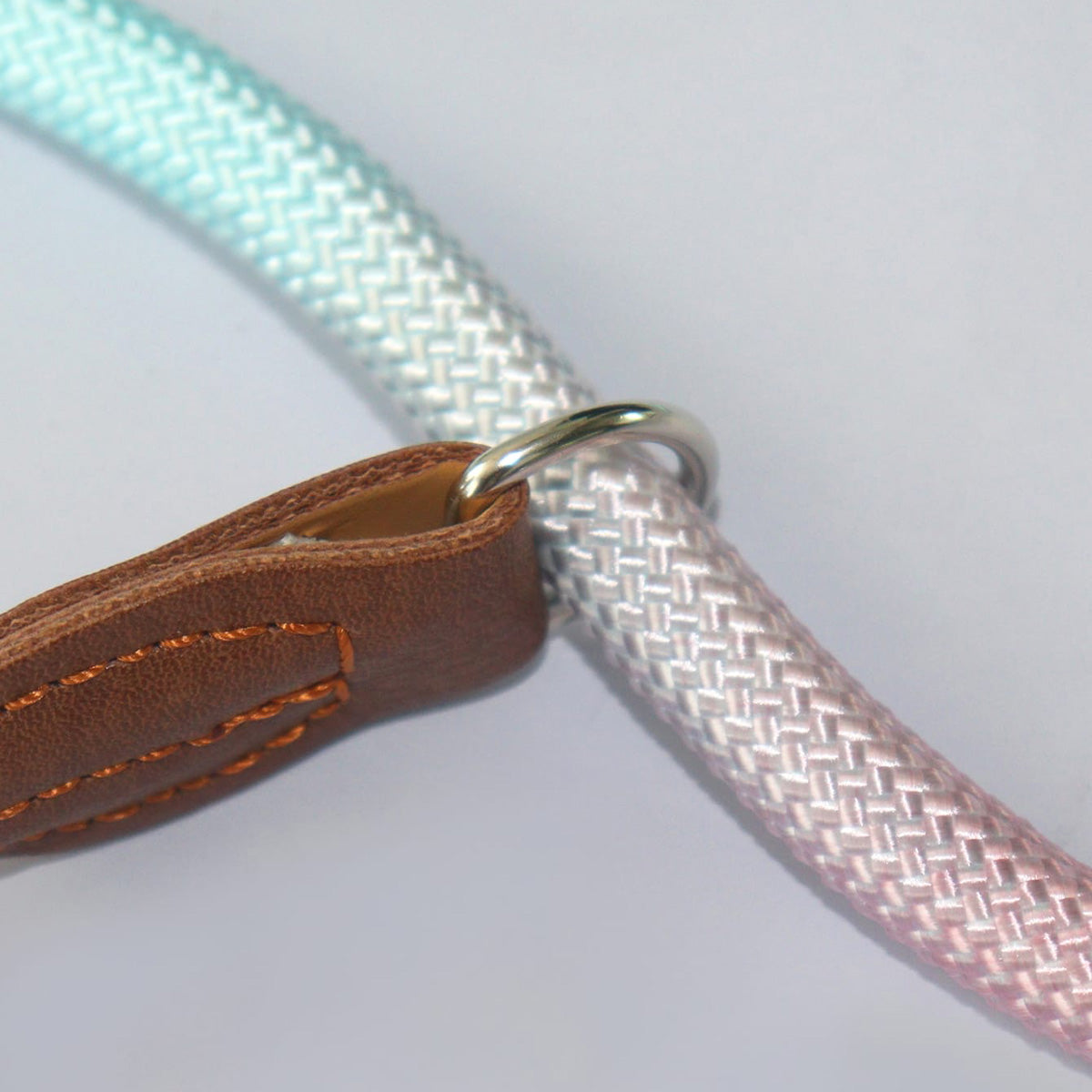 COLORLEASH – Kleurrijke hondenriem voor stijlvolle wandelingen