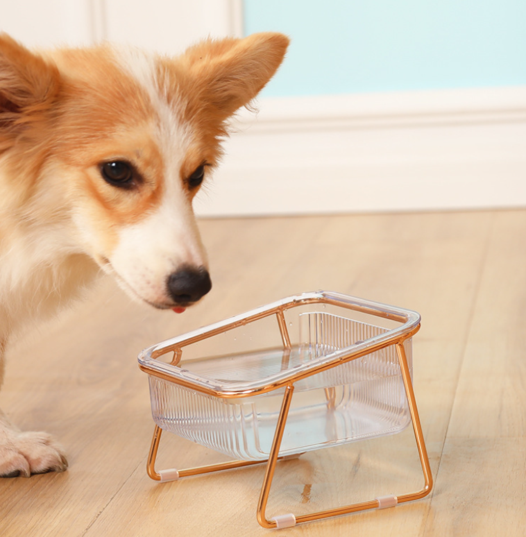 Petchic - Trendy Feeder für stilvolle Tiere-2