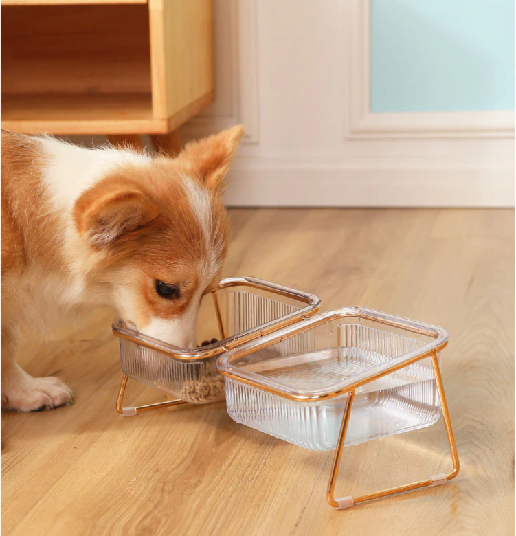Petchic - Trendy Feeder für stilvolle Tiere-4
