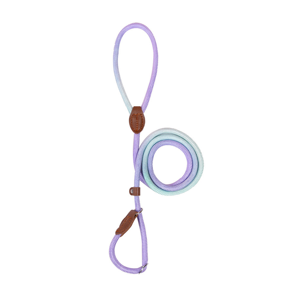 COLORLEASH – Kleurrijke hondenriem voor stijlvolle wandelingen
