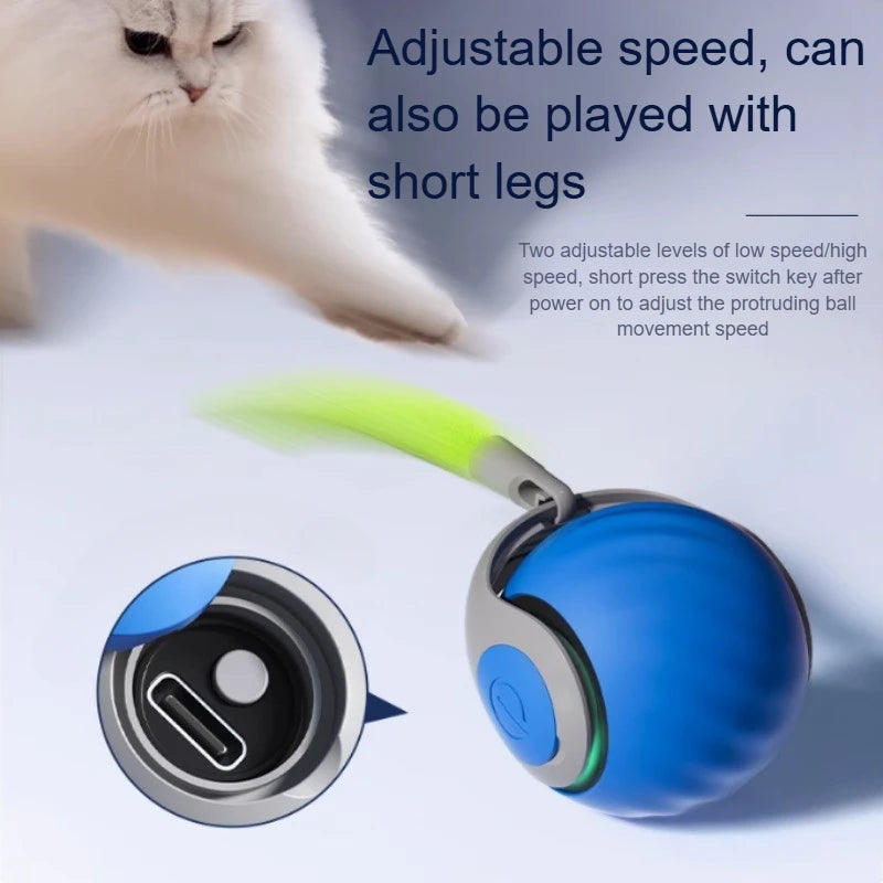 PlayPaws Interactive Rolling Toy - USB Rechargeable with Faux Tail for Pets