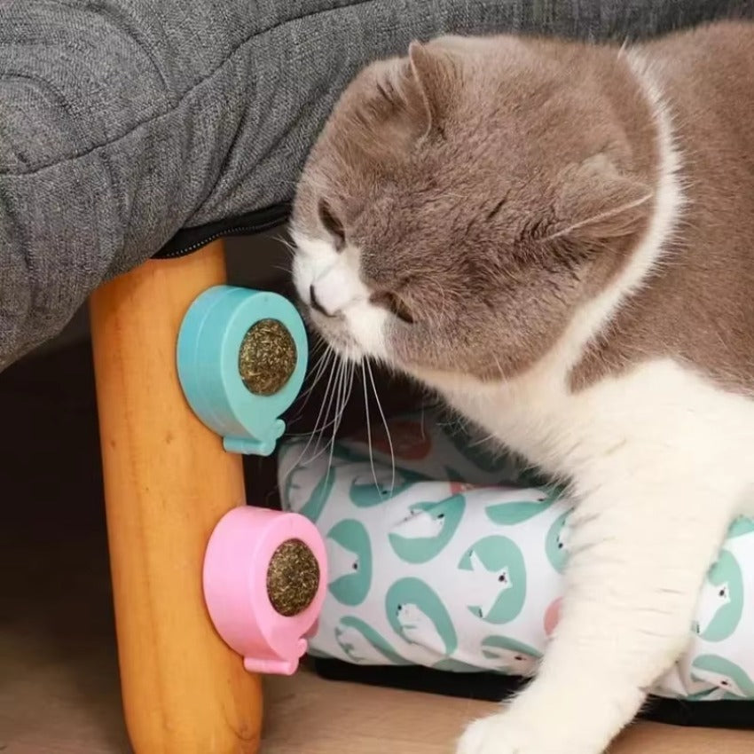 PURRFECT CATNIP TOY - toy with catnip for dental care & playtime fun