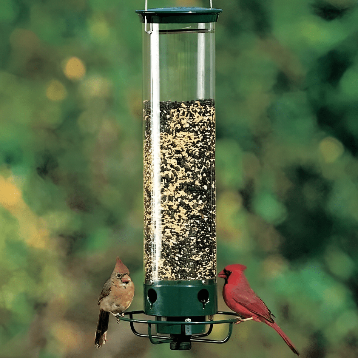 NutriGuard – Squirrel-Proof Birdhouse with Weight-Controlled Feeder