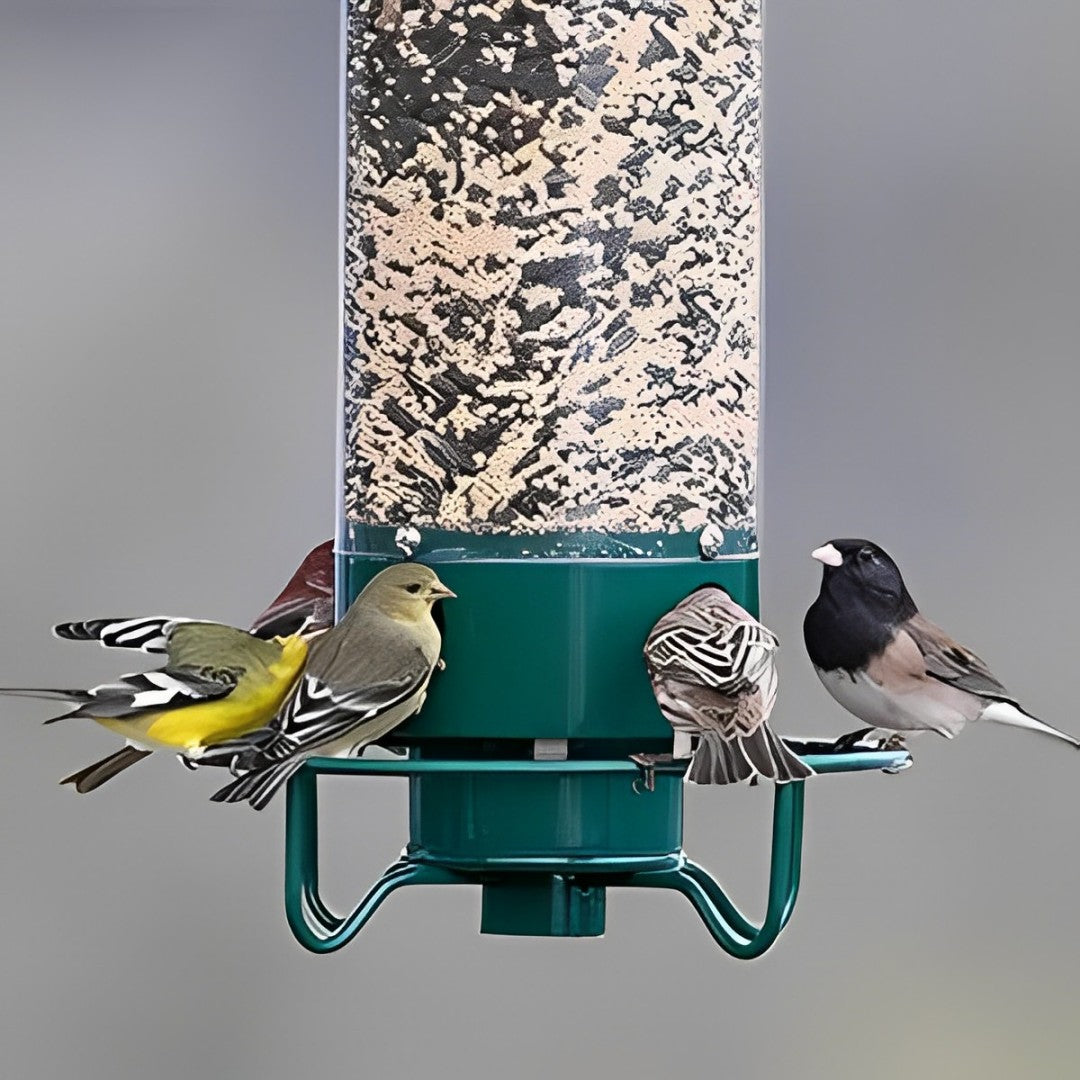 NutriGuard – Eekhoornbestendig Vogelhuis met gewichtsgestuurde Voederdispenser