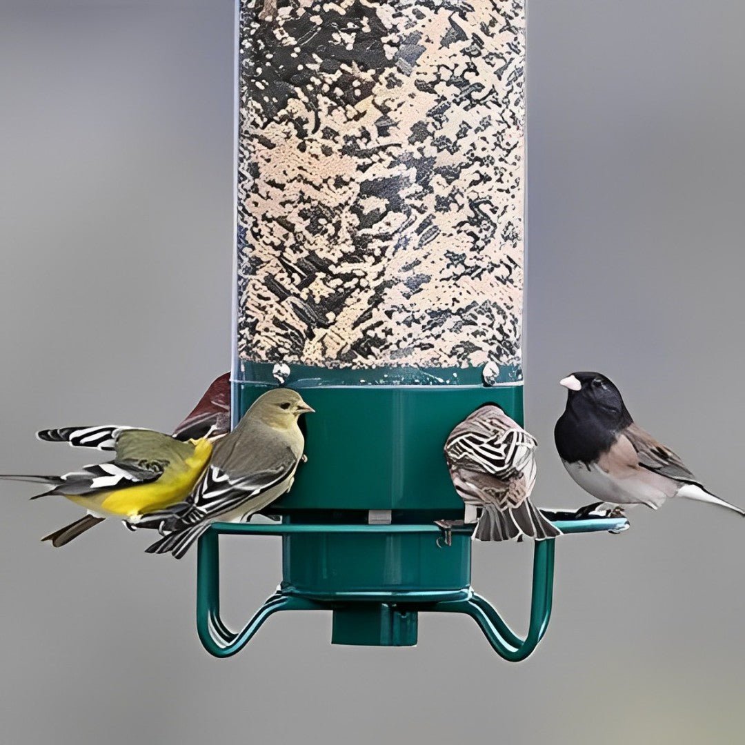 NutriGuard – Squirrel-Proof Birdhouse with Weight-Controlled Feeder