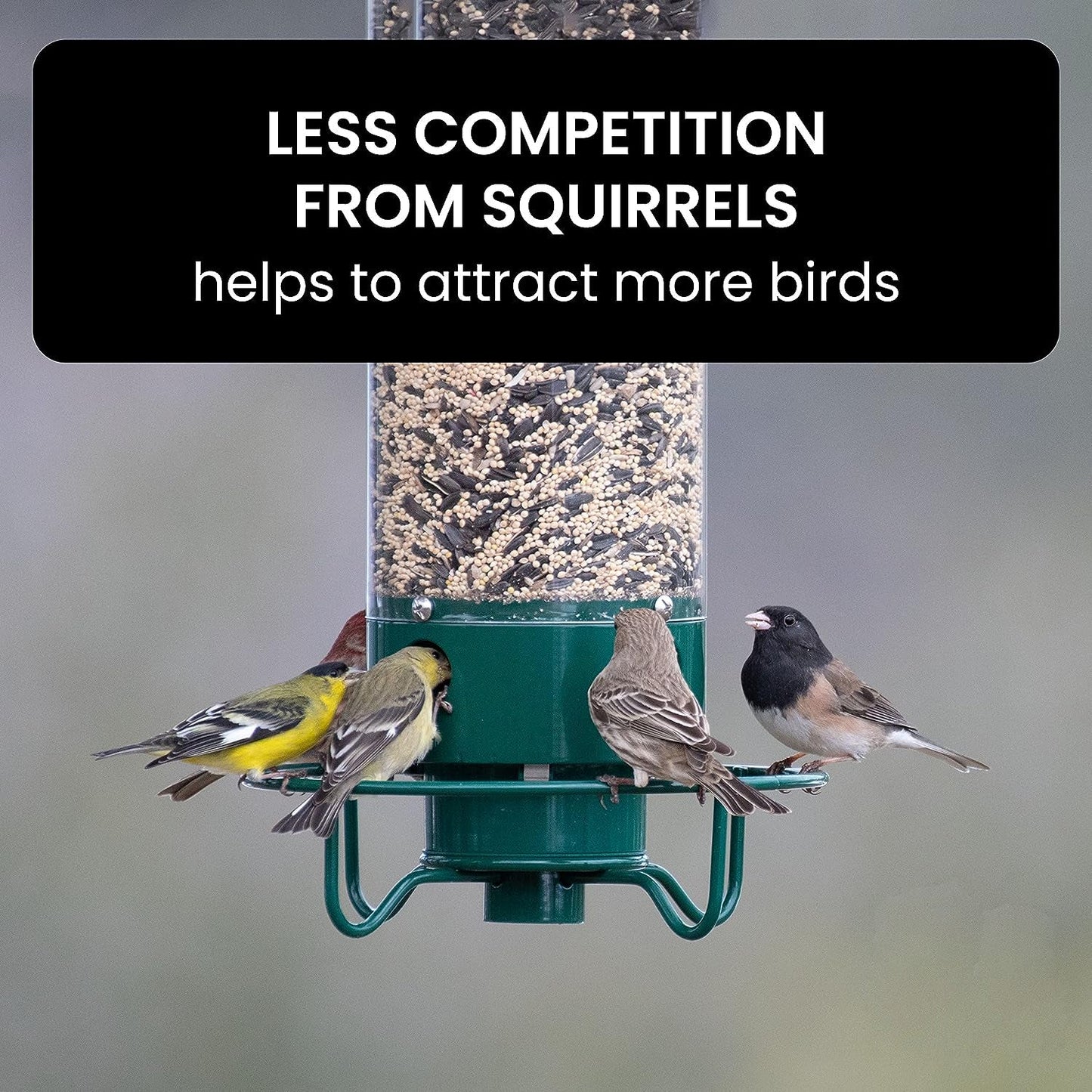 NutriGuard – Eekhoornbestendig Vogelhuis met gewichtsgestuurde Voederdispenser