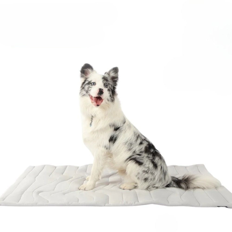 CoolPaws cooling mat - Self-cooling dog rug for hot summer days