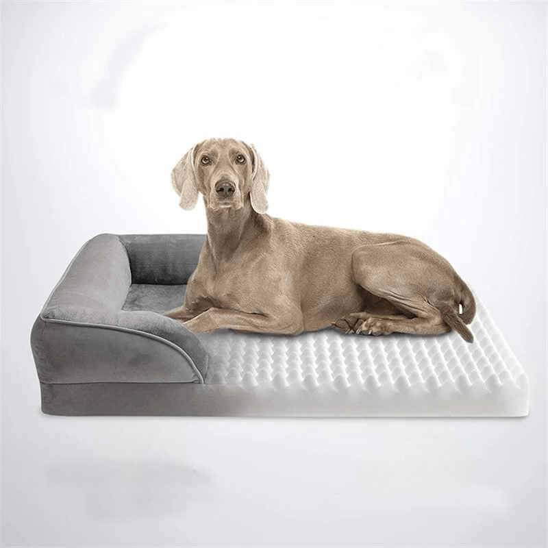 PETIQUE COMFORTBED – Orthopedic Dog Bed with Removable Velvet Cover