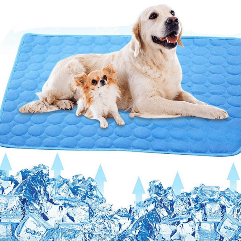 CoolPet Mat – Alfombrilla refrescante para perros para un alivio y comodidad inmediatos