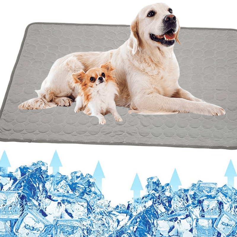 CoolPet Mat – Alfombrilla refrescante para perros para un alivio y comodidad inmediatos