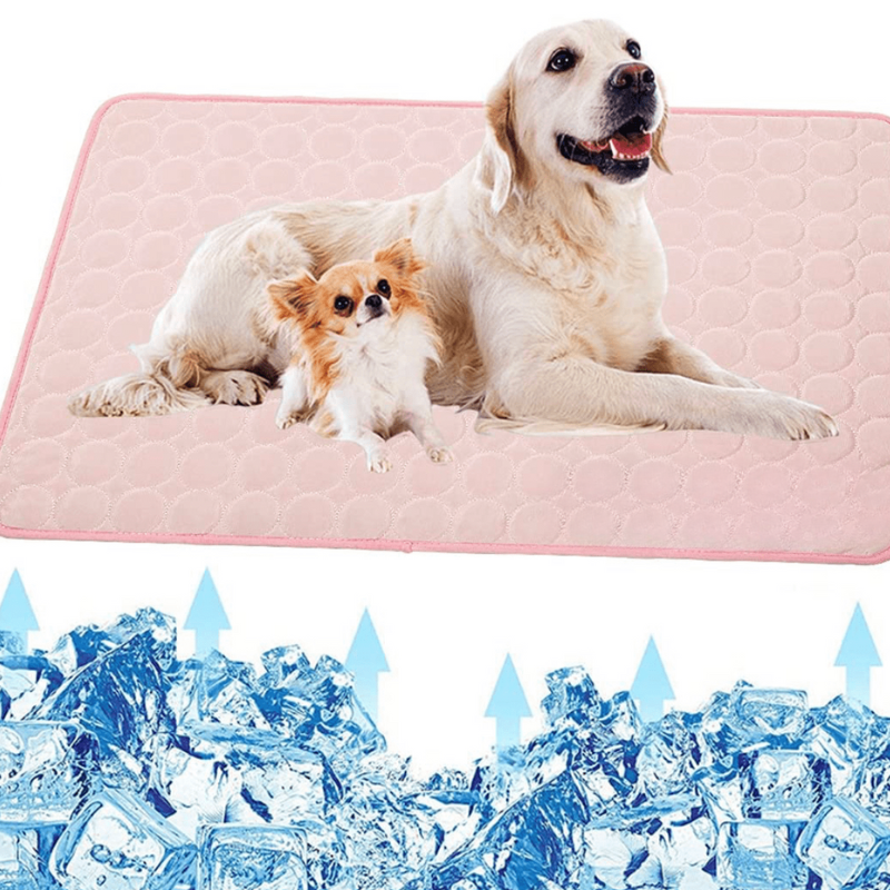CoolPet Mat – Alfombrilla refrescante para perros para un alivio y comodidad inmediatos