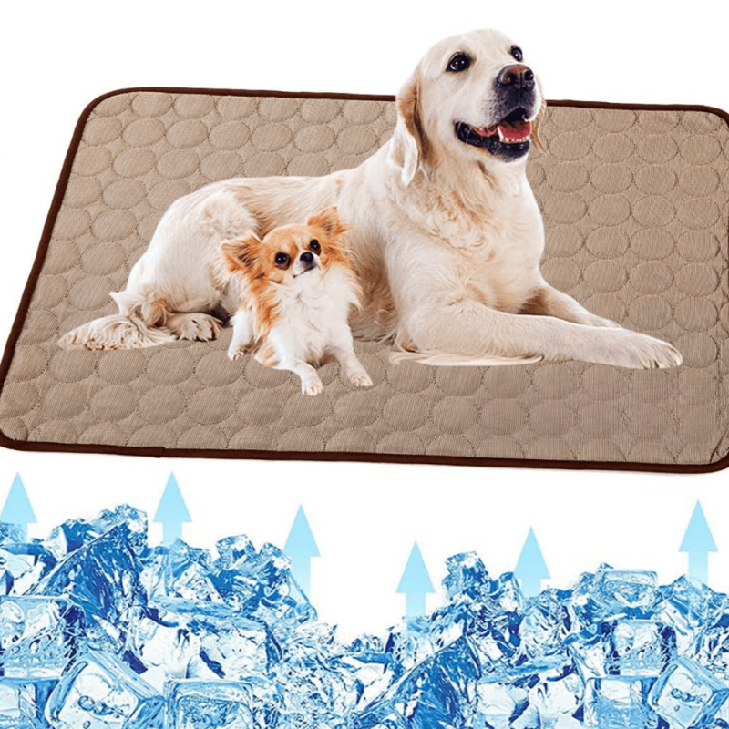 CoolPet Mat – Alfombrilla refrescante para perros para un alivio y comodidad inmediatos