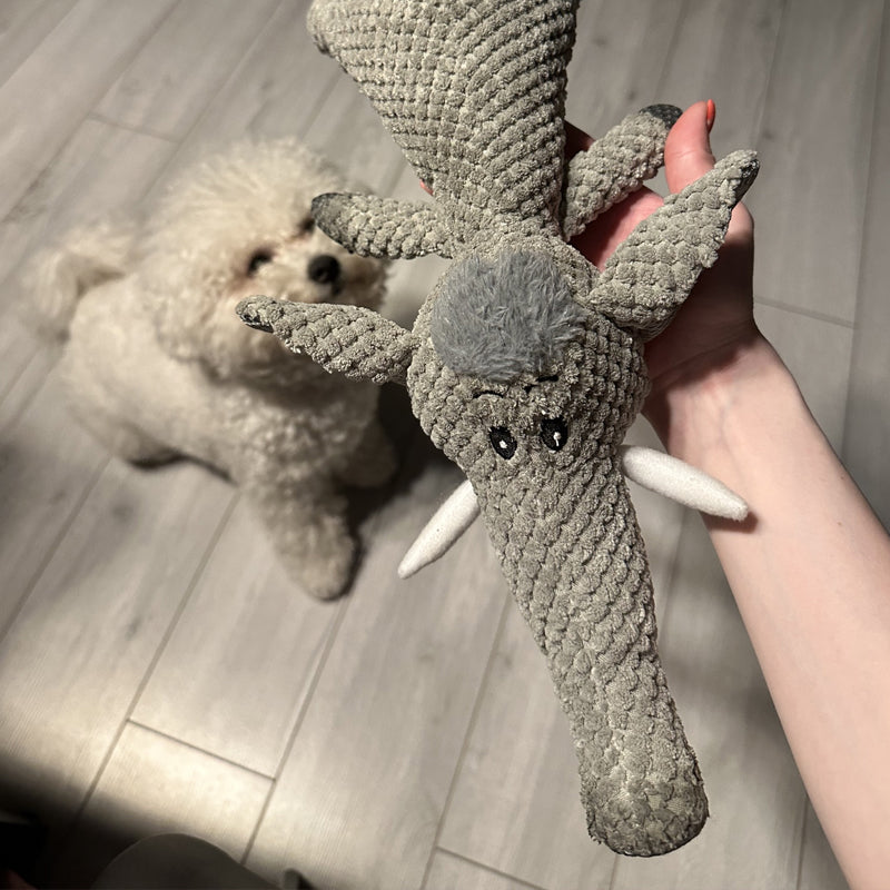 Onverwoestbaar Hondenspeelgoed – Onverwoestbaar Kauwspeelgoed voor kleine & grote honden