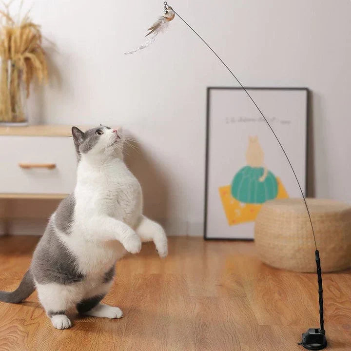 Natürliche Spielzeit - Interaktiver Vogel für Katzen-5