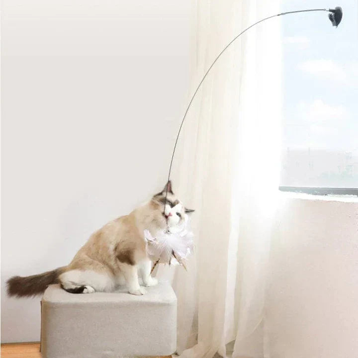 Natürliche Spielzeit - Interaktiver Vogel für Katzen-6