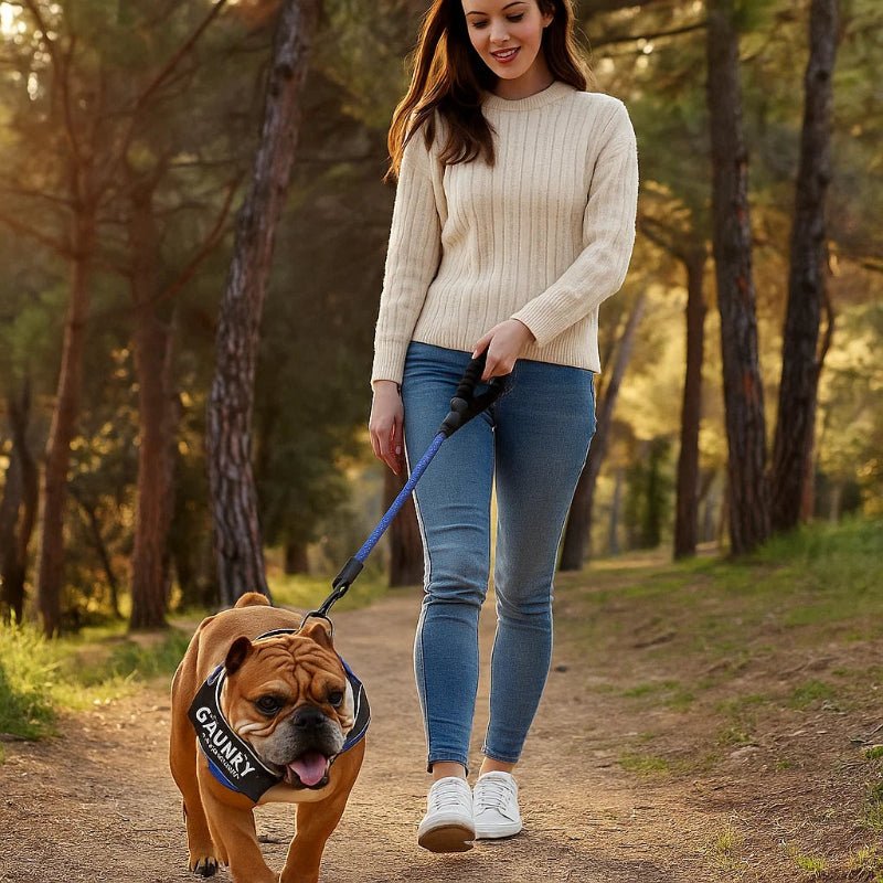 DOGSAFE HARNESS - Personalisable dog harness for comfort & safety