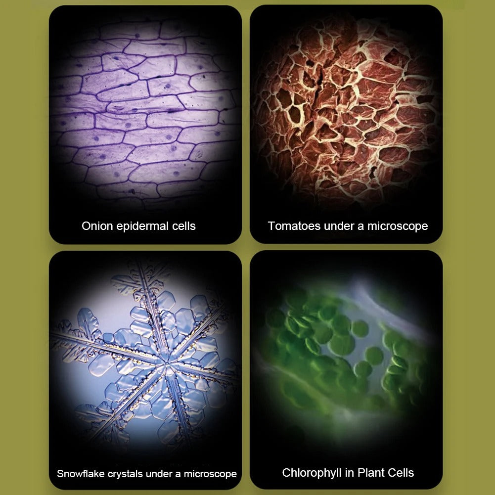 ExplorerLens - Portable microscope for young explorers