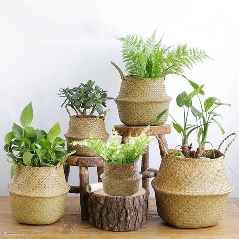 TerraNest - Hand-woven basket for stylish storage