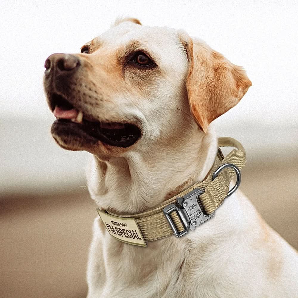 TACTICALK9 DOG COLLAR SET – Sturdy & adjustable collar for training & everyday use