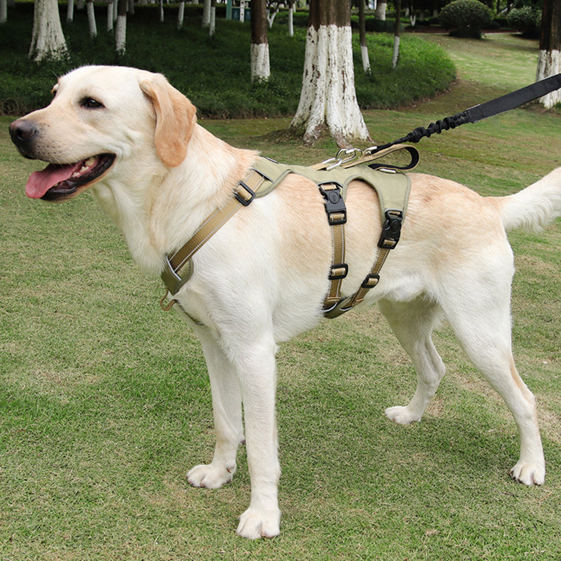 Hundegeschirr Gepolstert Schwarz Größe M Nylon Sicherheitsgeschirr Hund Anti-Zieh Design-2