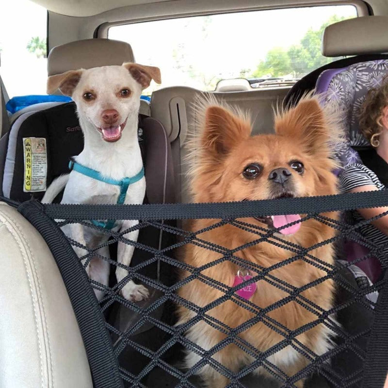 Victor Barriere - Pet Safety Net-3