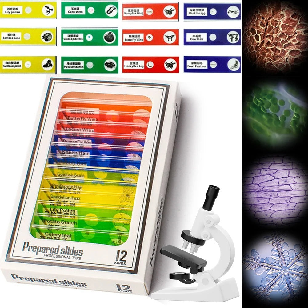 ExplorerLens - Portable microscope for young explorers