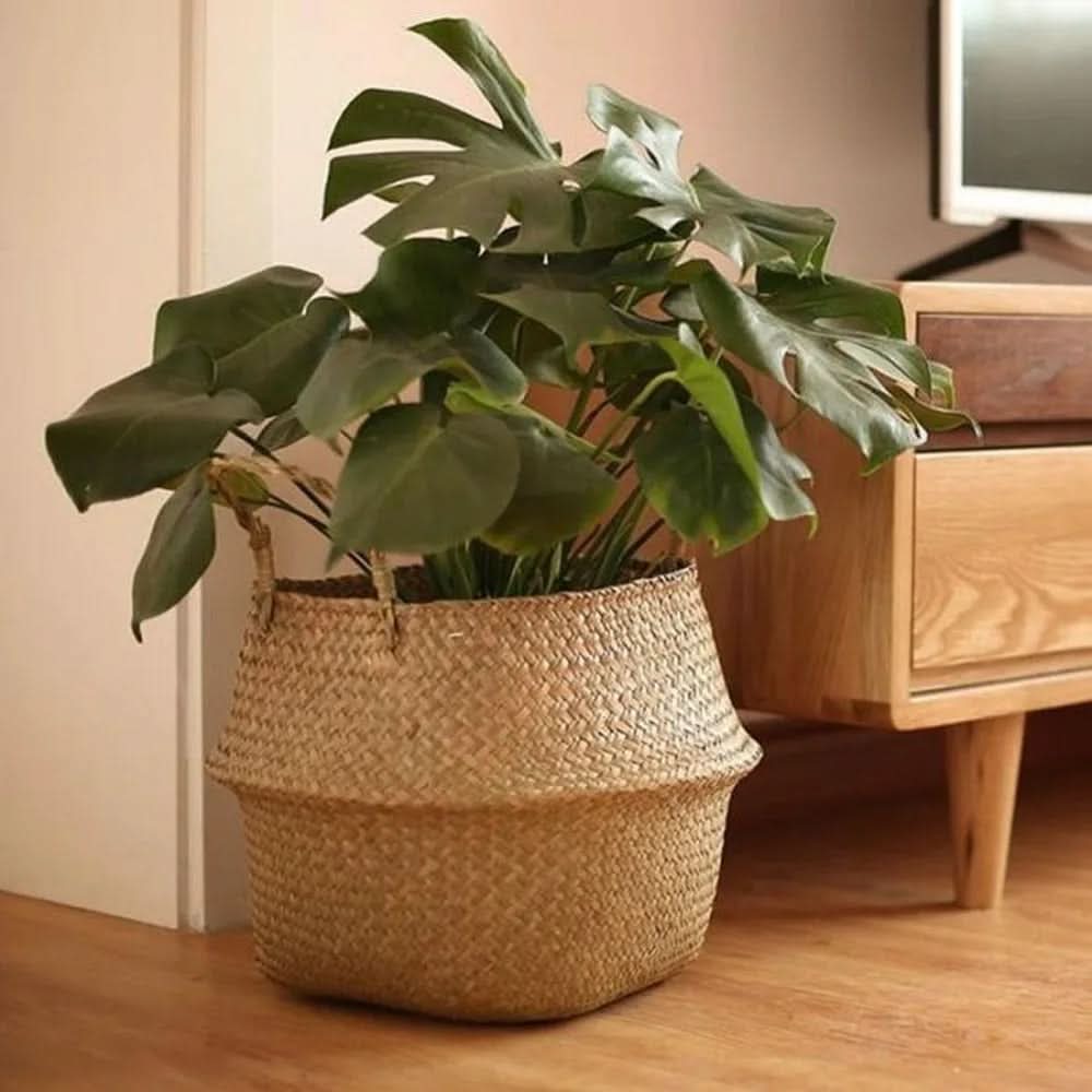 TerraNest - Hand-woven basket for stylish storage
