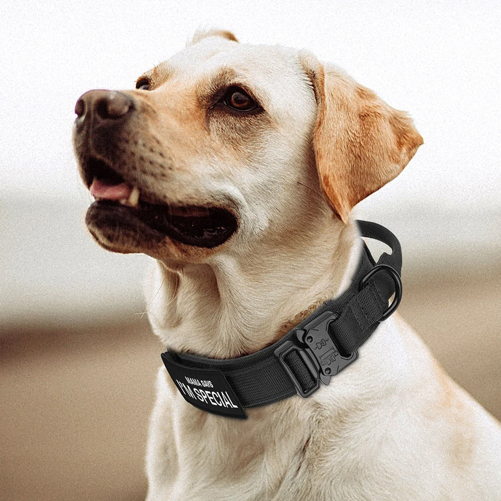 Set de collar para perros TacticalK9 – diseño robusto y cómodo para cada aventura