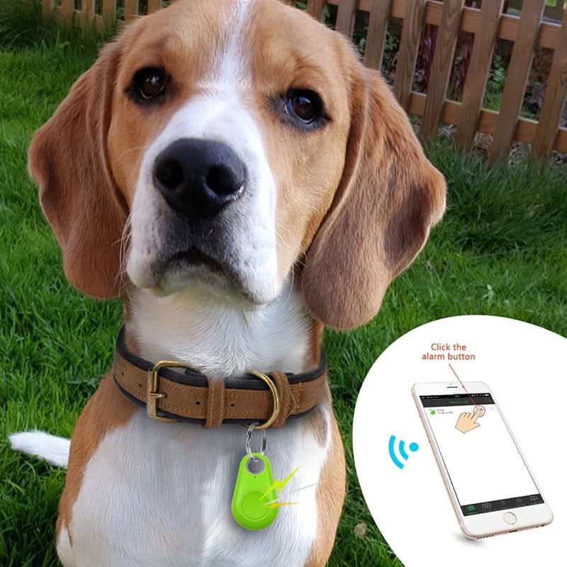 Pawfinder - Smart GPS Tracker für Haustiere-2