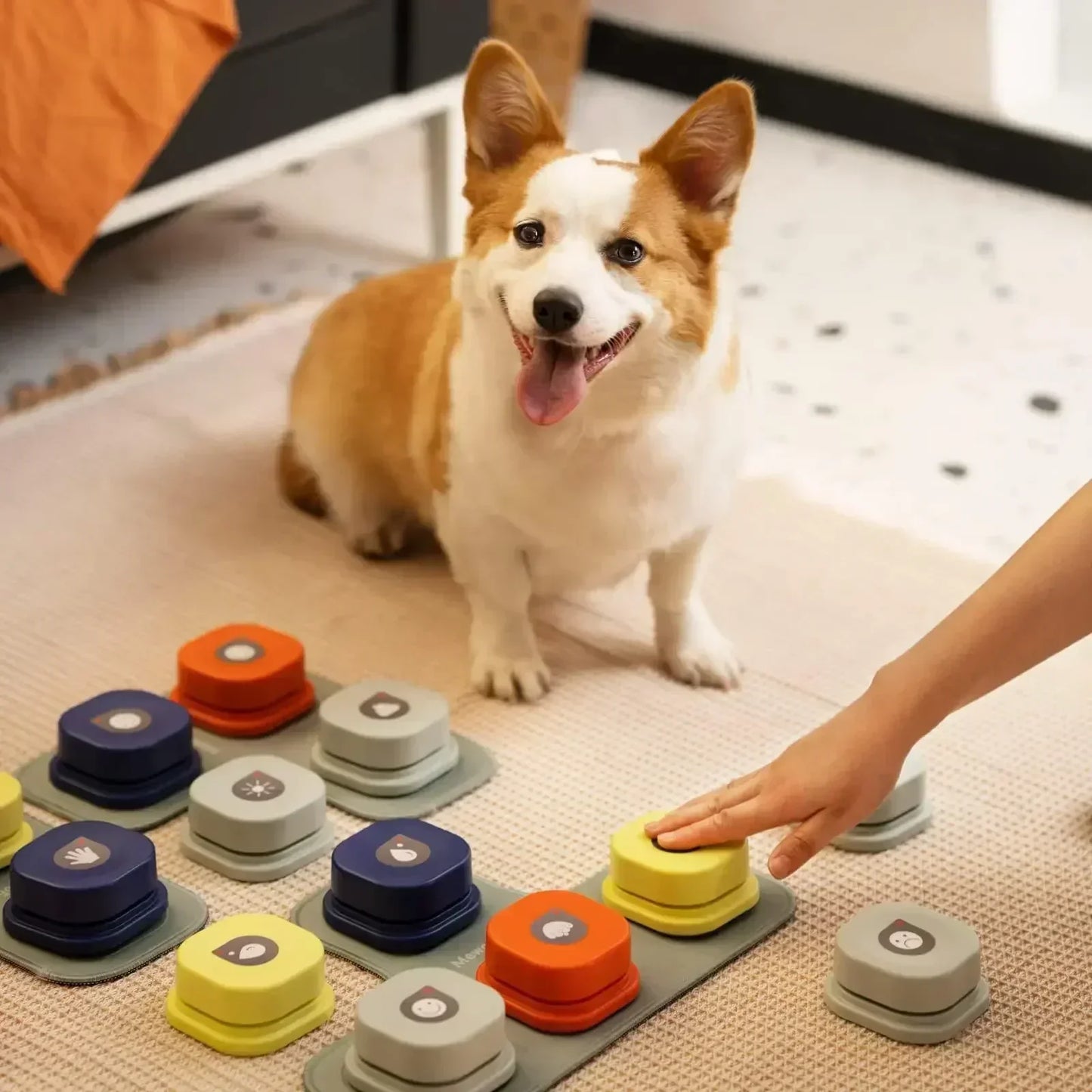 BarkTalk - Interaktive Tasten für das Training von Hund-2