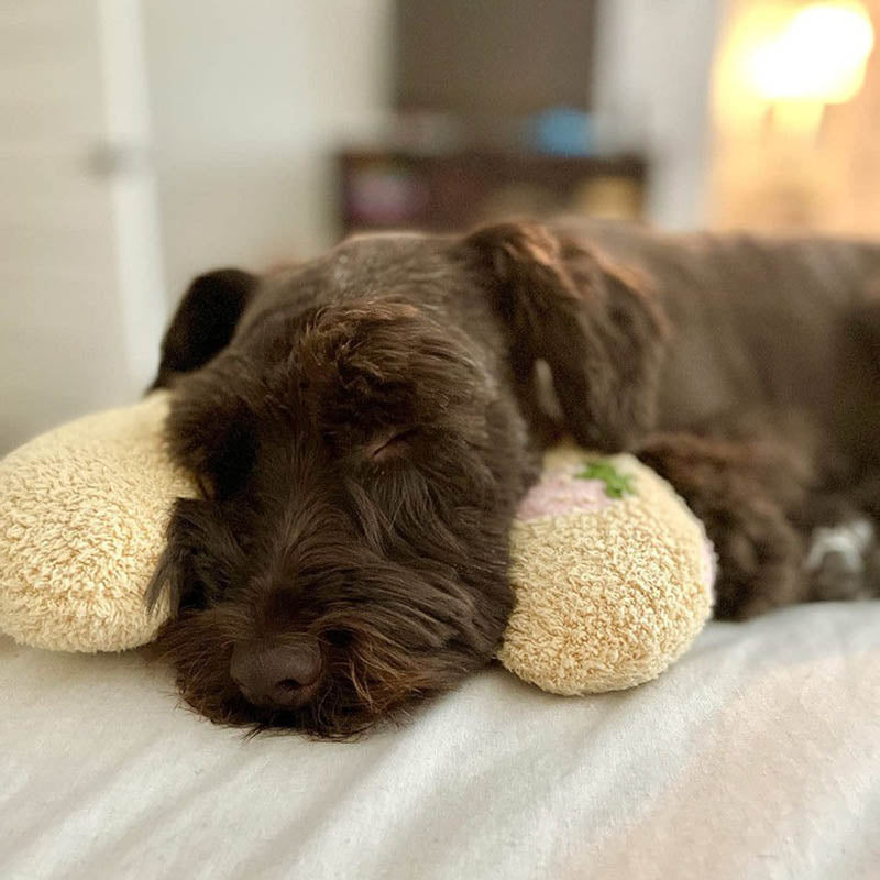 Petease Luxus - orthopädisches Hundkissen für Komfort-3