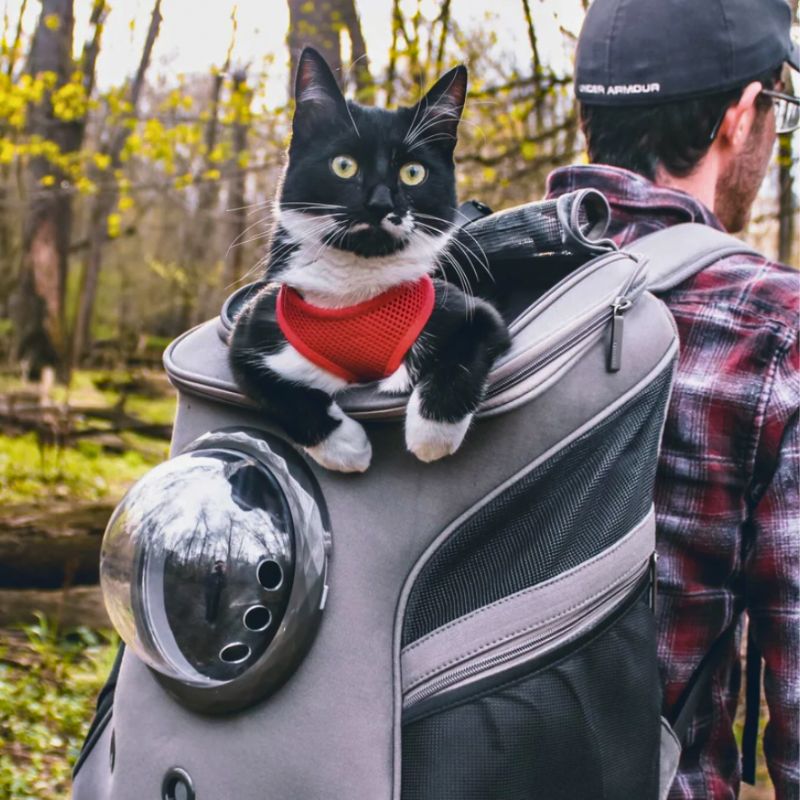 Cattrekker - Luxus -Katzen -Reisetasche mit Panoramablick-5