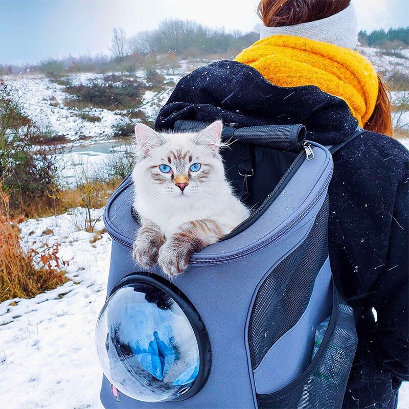 Cattrekker - Luxus -Katzen -Reisetasche mit Panoramablick-2