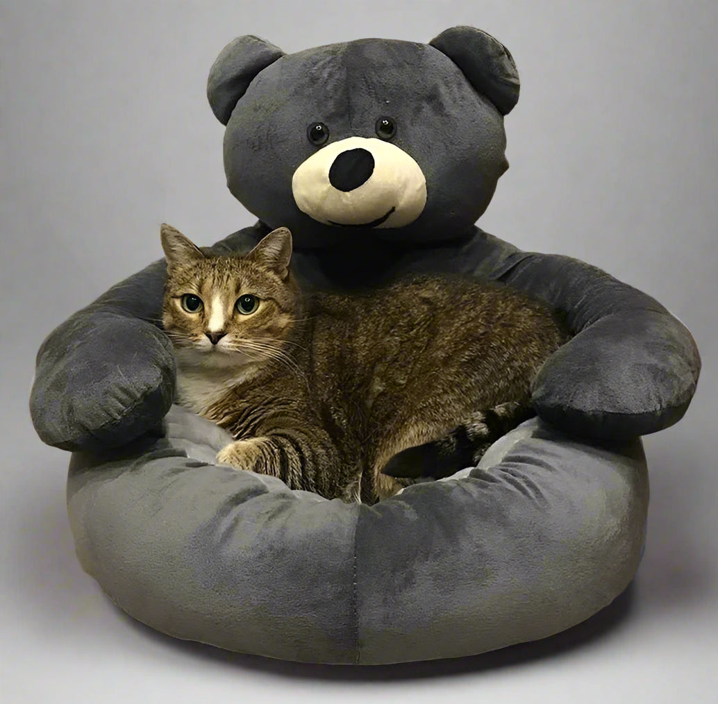 DreamWhisk Cat Bed – Cozy Cat Bed with Security & Comfort