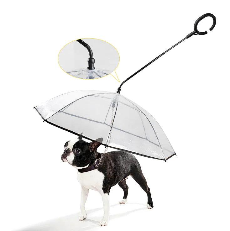Rainguard -Regenschirm - Transparenter Hundebildschirm-2