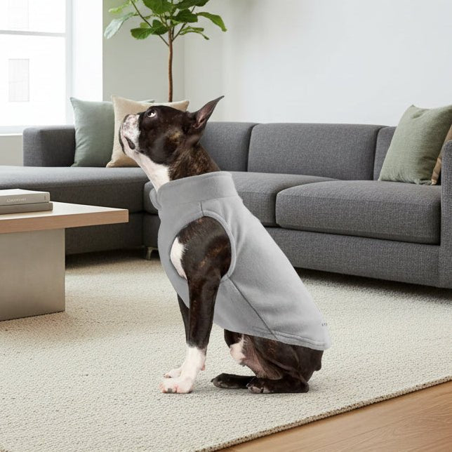 PETSNUG – Chaleco cálido para perro con anilla en D y forro de polar