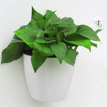Plantiva Vertical self-watering flower pot
