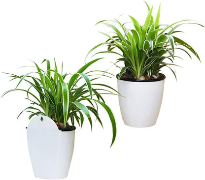 Plantiva Vertical self-watering flower pot