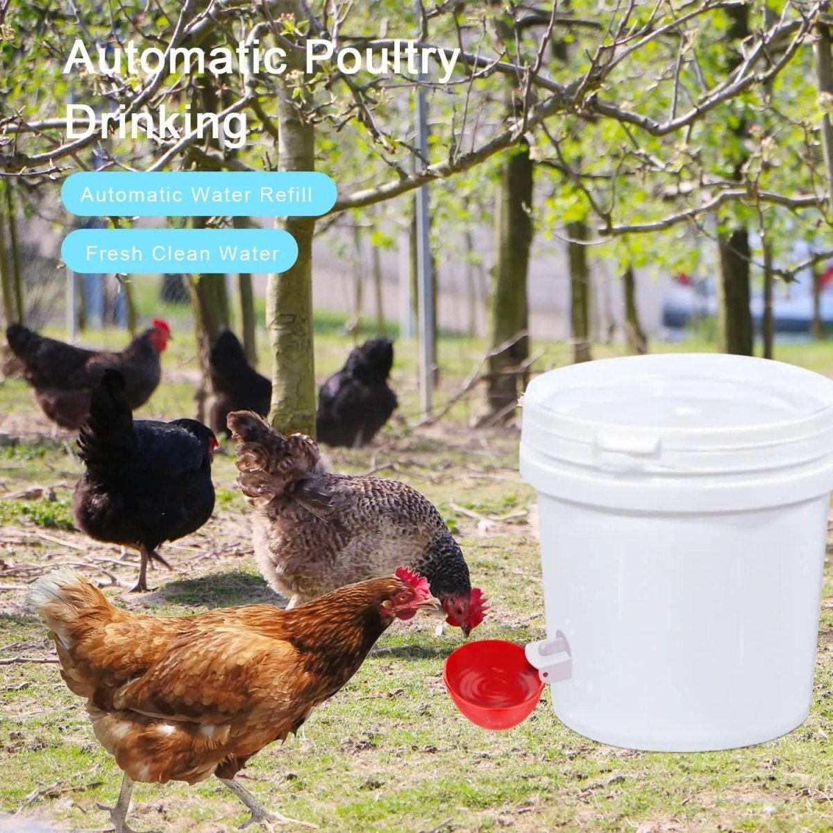 POULTRIX – Automatic Chicken Waterer for Healthy Flocks