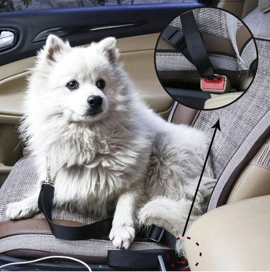 PETECURE - Sicherheitsautoggürtel für Haustiere-5