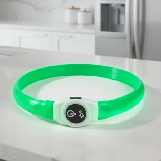 WOOFBEAM – Collar luminoso LED para perros para paseos seguros por la noche