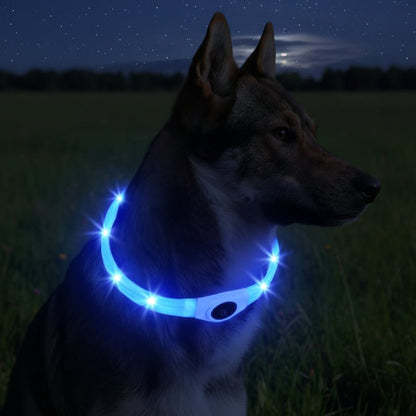 BARKBEAM – LED-Leuchthalsband für Hunde 2