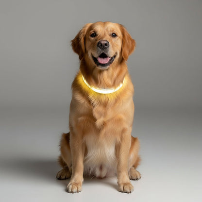 BARKBRIGHT – Wiederaufladbare LED-Leine mit komfortablem ergonomischem Griff 2