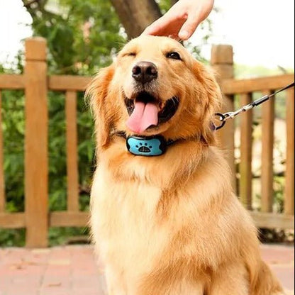 HUSHTONE – Intelligent Anti-Bark Dog Collar with Sonic Wave Technology and Adjustable Fit